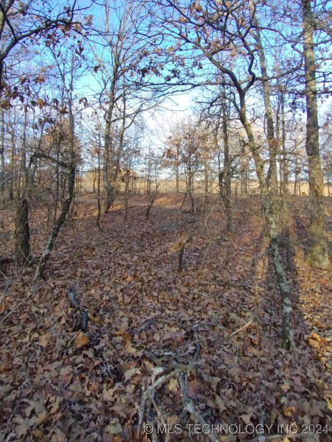 464776 Indian Rd, Home with 0 bedrooms, 0 bathrooms and null parking in Proctor OK | Image 4