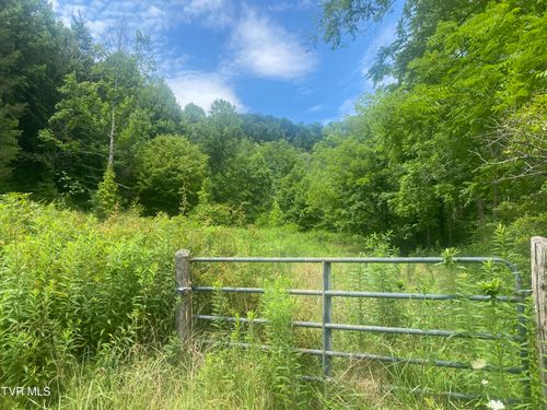 638 Old Highway 143, Roan Mountain, TN, 37687 | Card Image