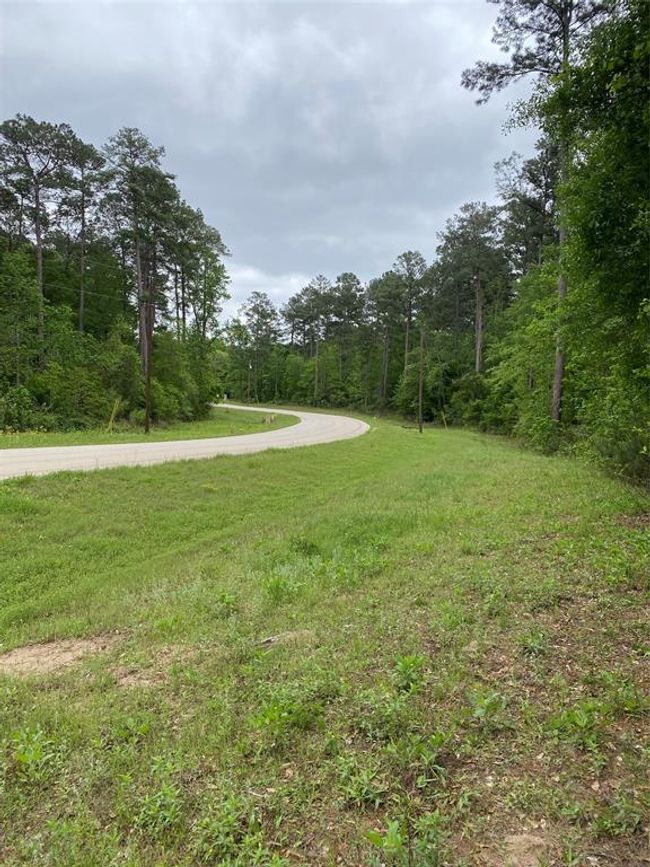 0 Sandpiper Dr, Home with 0 bedrooms, 0 bathrooms and null parking in New Waverly TX | Image 6