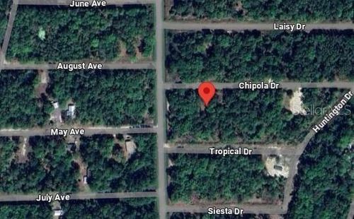 105 Chipola Drive, GEORGETOWN, FL, 32139 | Card Image