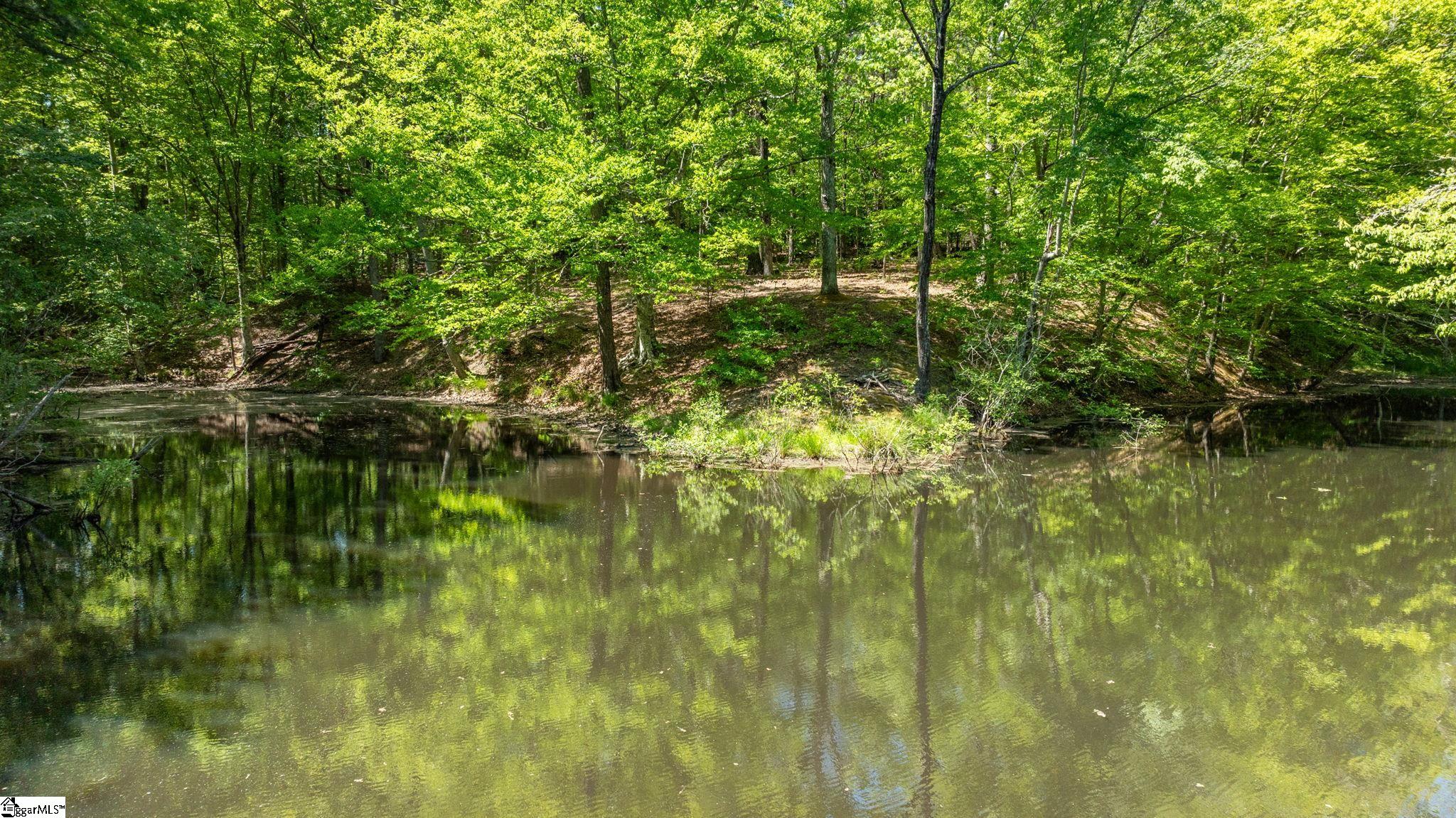 Land in Gaffney 3