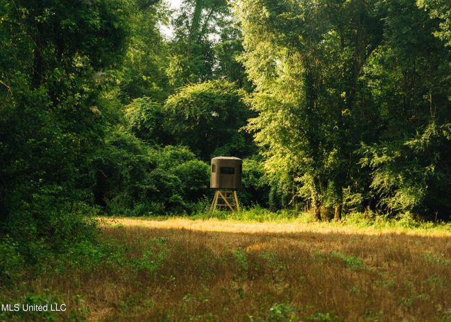 BS 500 Greene County Pics-74 | Image 18