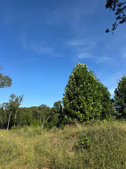 925 Elmwood Ave, Lynchburg, VA, 24503-4442 | Card Image