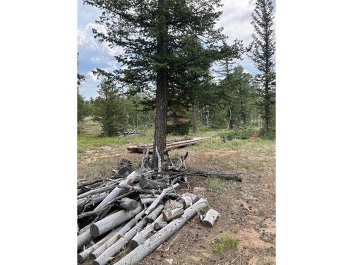 247 Sutiki Dr, Red Feather Lakes, CO, 80545 | Card Image