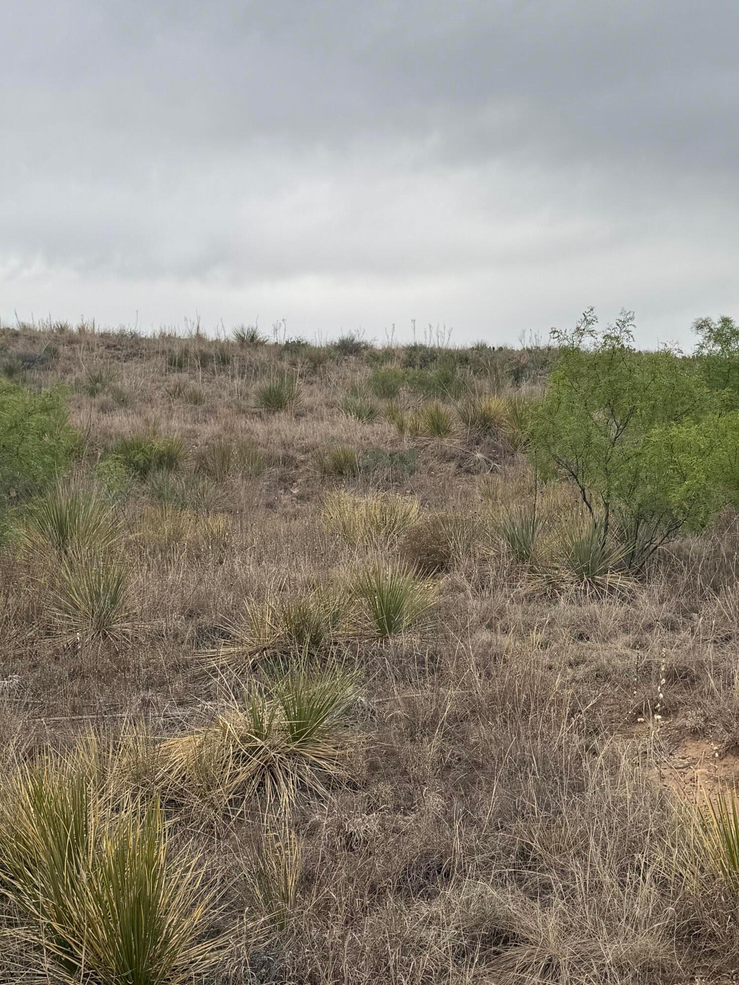 Land in Fritch 2