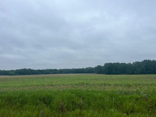 TBD (Lot 3) Hemingway Ave, North Branch, MN, 55056 | Card Image