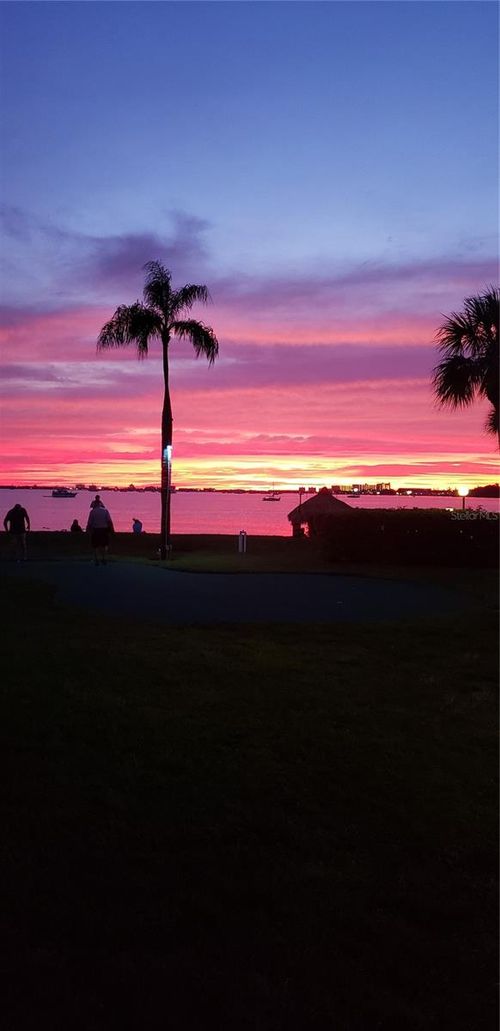 apt-b-3595 41st Ln S, ST PETERSBURG, FL, 33711-4072 | Card Image