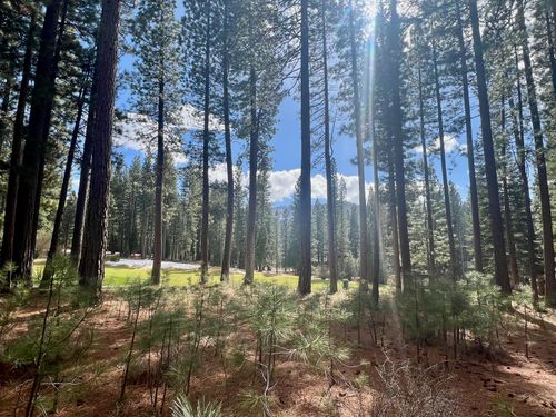 879 Prospector Dr, Clio, CA, 96106 | Card Image