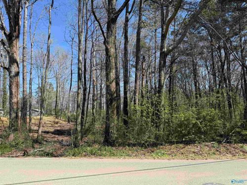 XX Carver Dr Sw, Arab, AL, 35016 | Card Image