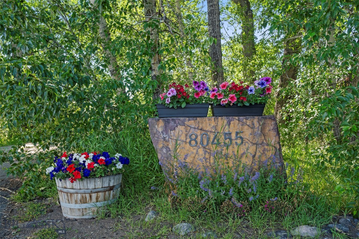 Residential in Bozeman 2