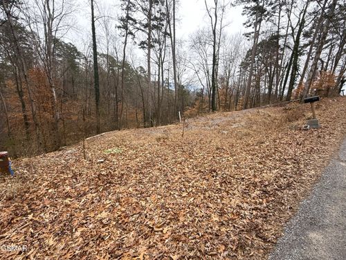1538 Mayflower Ln, Dandridge, TN, 37725-5231 | Card Image