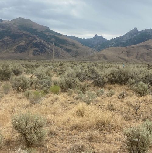 TBD Lamoille Rd, Lamoille, NV, 89828 | Card Image