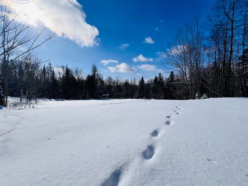 278 Mosher Rd, Sheffield, VT, 05866-9713 | Card Image