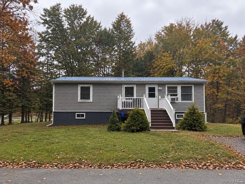 1 Morris Rd, Mountain Dale, NY, 12763-5217 | Card Image