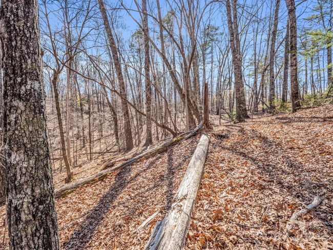 21-24-AND-25 - 000 Forester Ln, Home with 0 bedrooms, 0 bathrooms and null parking in Mill Spring NC | Image 21