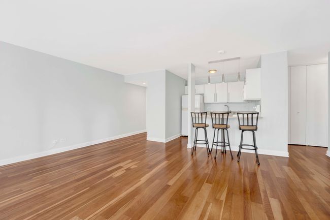 APT-5A - 33 E Cedar St, Condo with 1 bedrooms, 1 bathrooms and null parking in CHICAGO IL | Image 7
