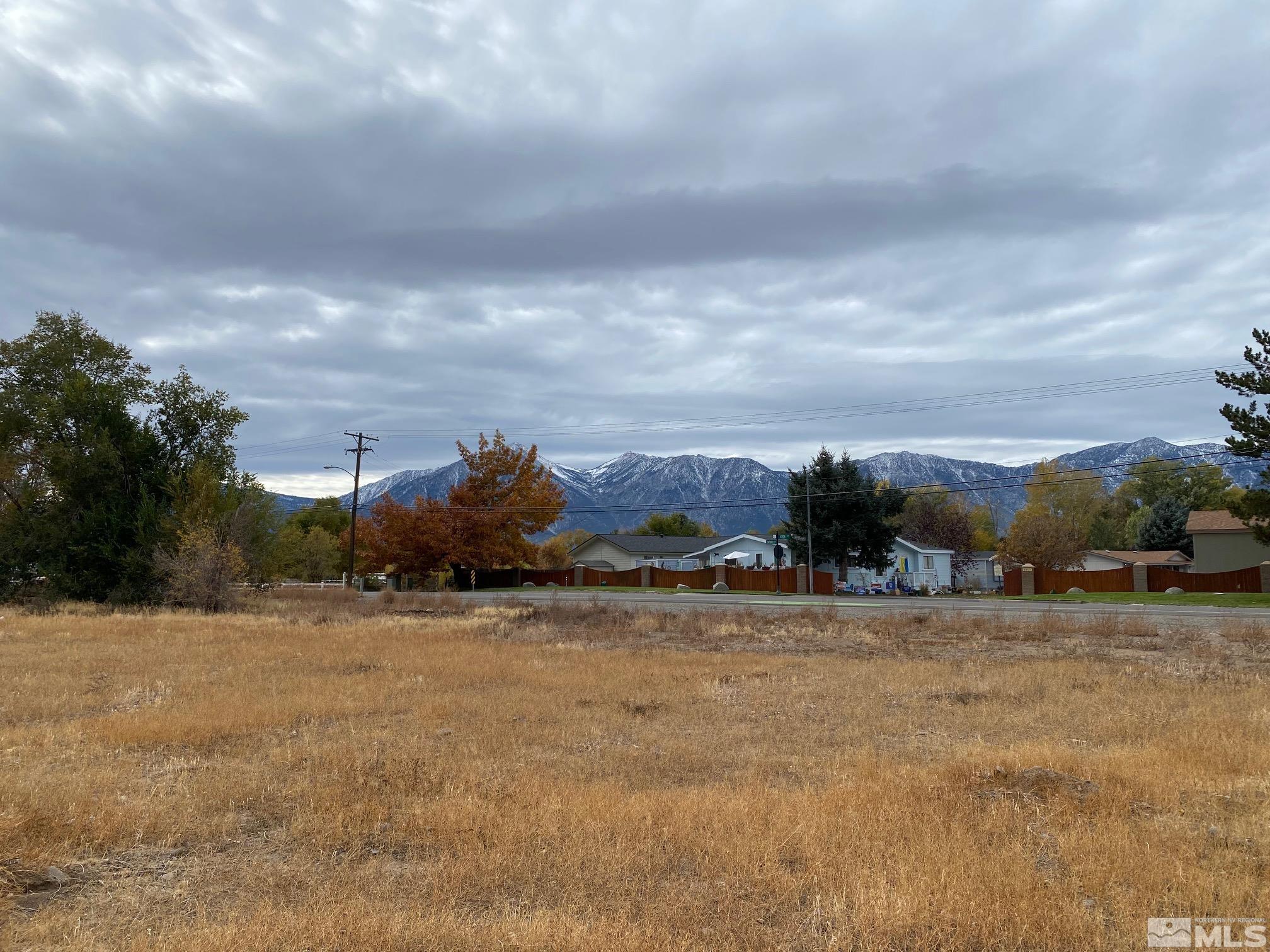 Land in Gardnerville 2