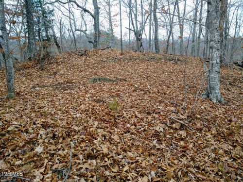 000 New Hope Rd, Sneedville, TN, 37869 | Card Image