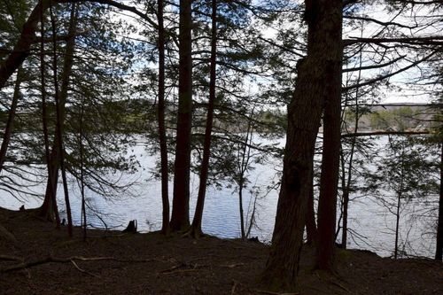 PO M11 L46 Woodcock Lane, Skowhegan, ME, 04976 | Card Image
