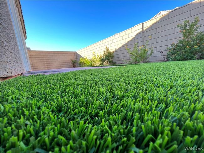 Yard | Image 30