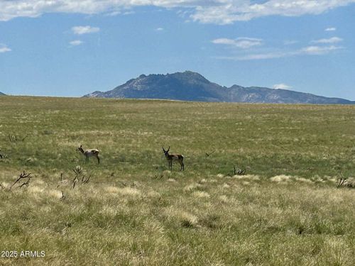 a1-401 Norma Ln, Prescott, AZ, 86305 | Card Image