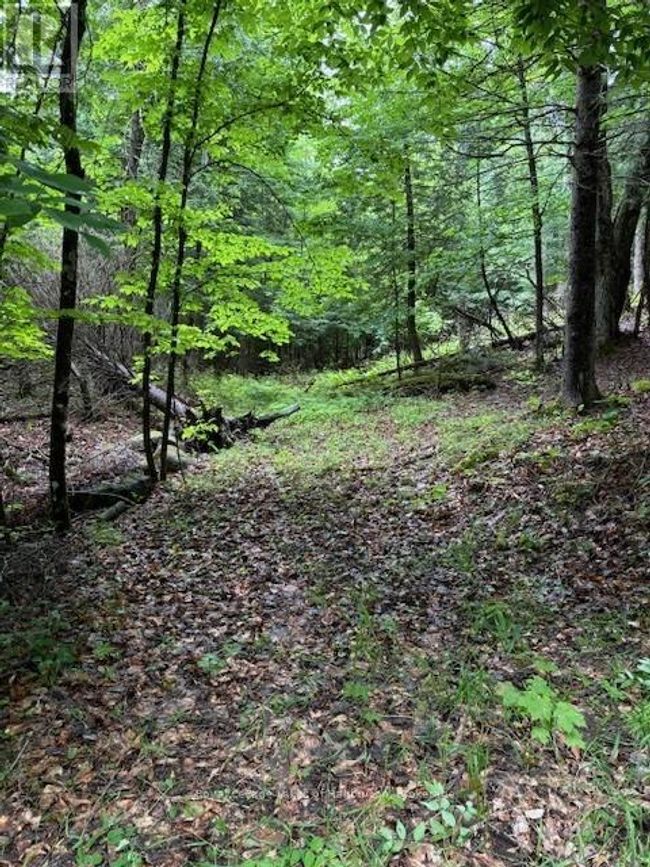 Lot 70 25th Line, Home with 0 bedrooms, 0 bathrooms and null parking in Algonquin Highlands (Stanhope) ON | Image 18