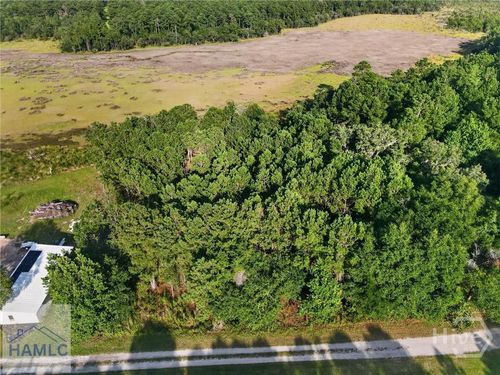Lot #23 Barnstorm Rd Ne, Townsend, GA, 31331 | Card Image