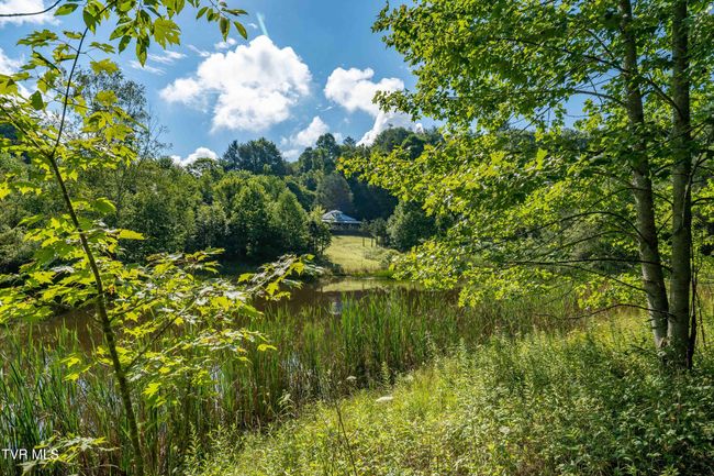 306 Bear Branch Rd, Home with 0 bedrooms, 0 bathrooms and null parking in Roan Mountain TN | Image 31