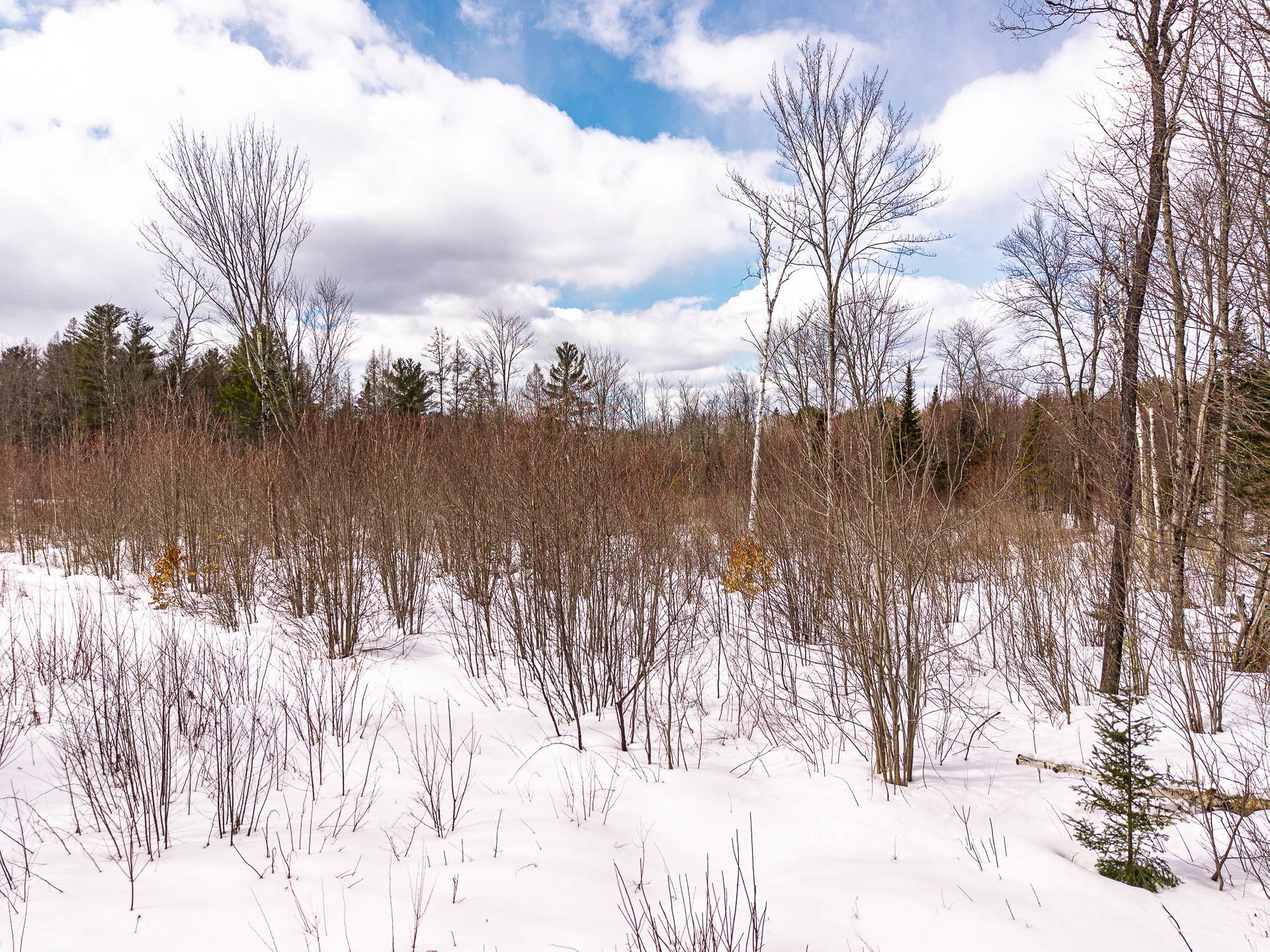 Land in Saint-André-Avellin 3