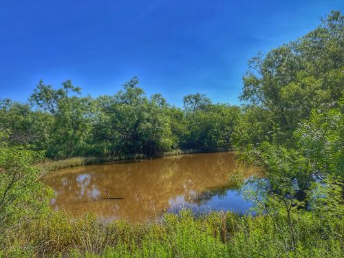 1363 County Road 441, Sweetwater, TX, 79556 | Card Image