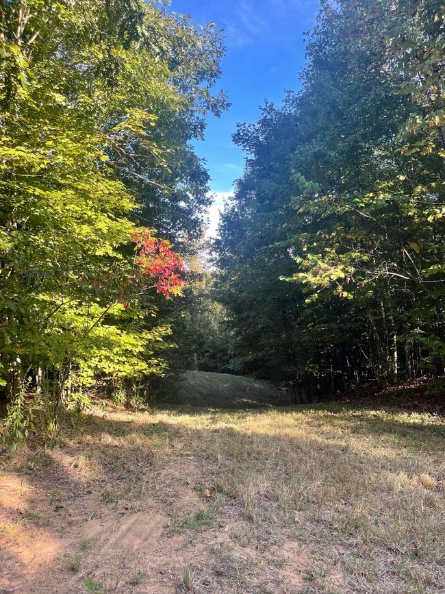 450 County Road 28, House other with 4 bedrooms, 3 bathrooms and null parking in Calhoun TN | Image 112