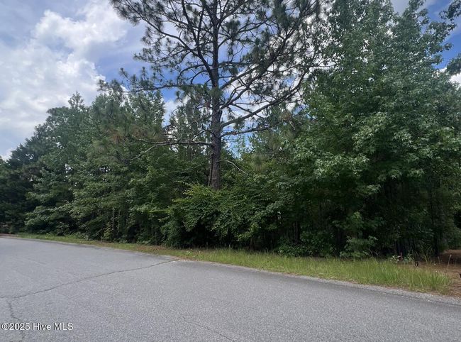 16 Overpeck Ln, House other with 5 bedrooms, 4 bathrooms and 2 parking in Pinehurst NC | Image 11