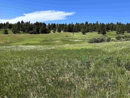 11 Tower Ridge Dr, Devils Tower, WY, 82714 | Card Image