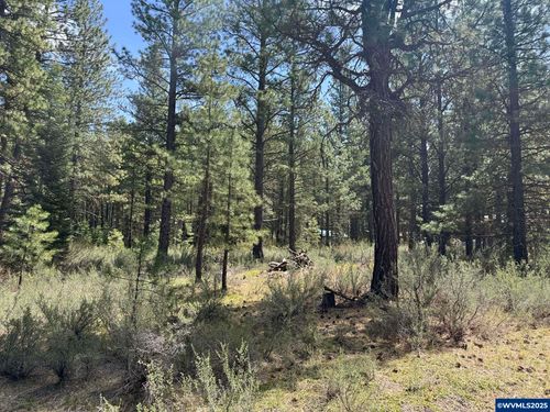 Lot 23 Como Way, Klamath Falls, OR, 97601-8770 | Card Image