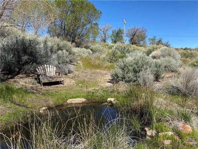 330 Sage Flats Dr, House other with 3 bedrooms, 2 bathrooms and 2 parking in Olancha CA | Image 54