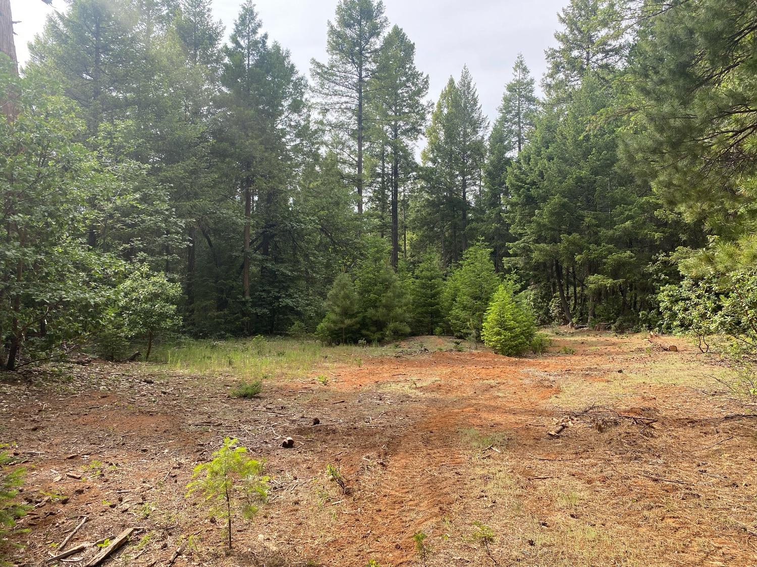 Land in Georgetown 3