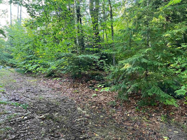 Map 6, Lot 38 Chadwick Hill Road, Home with 0 bedrooms, 0 bathrooms and null parking in Webster NH | Image 8