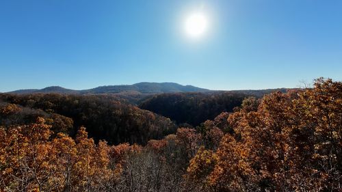 215 Morningside Ln, Liberty, TN, 37095-9234 | Card Image