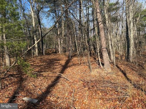 50 N River Mills Rd, CAPON BRIDGE, WV, 26711 | Card Image