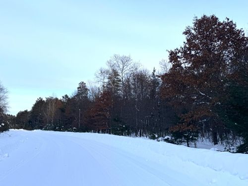 Lot 37 Bosshard Circle Rd, Woodruff, WI, 54568 | Card Image