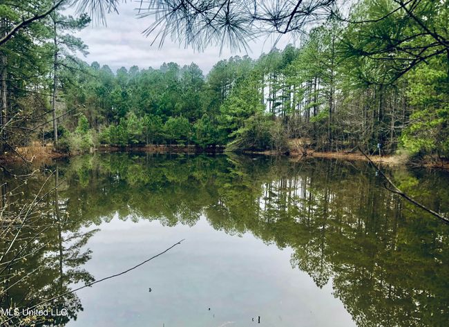 tempImagevIbP8o | Image 57