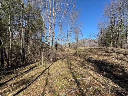 4 +/- Acres Hwy 194, Warrensville, NC, 28693 | Card Image