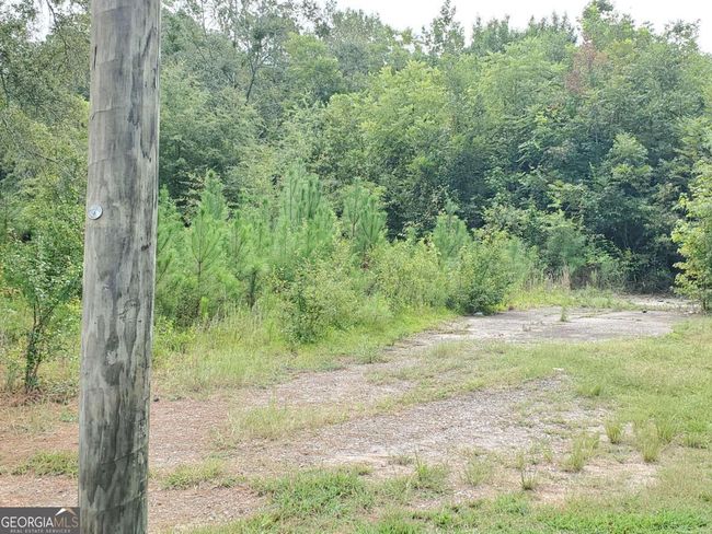 168 Peach St, Home with 0 bedrooms, 0 bathrooms and null parking in Haddock GA | Image 5