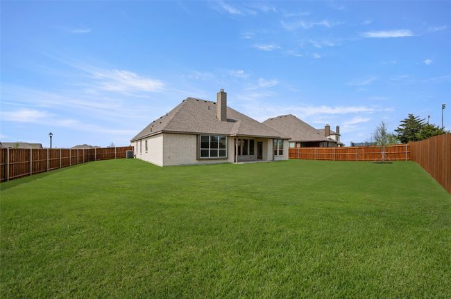 104 Calf- Back-2 | Image 27