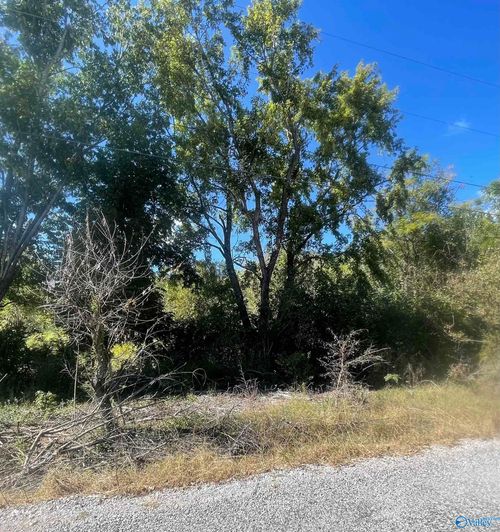 1443 County Road 436, Hillsboro, AL, 35643 | Card Image