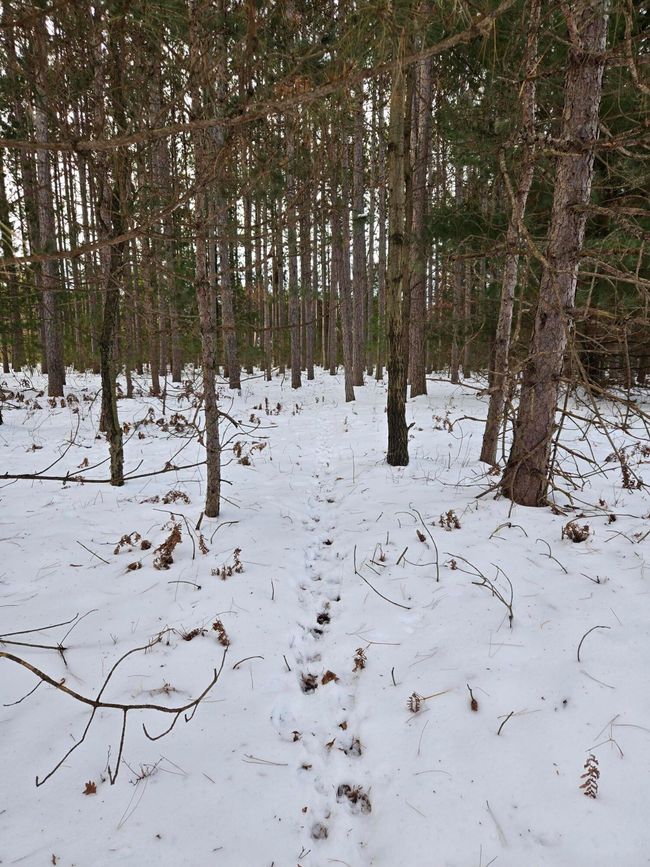 20250117_153704 | Image 104