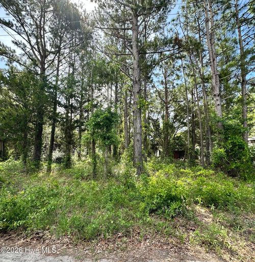 5-2983 Canna Pl Sw, Shallotte, NC, 28470-5700 | Card Image