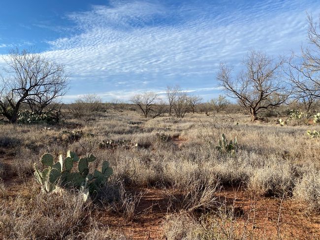 000 W Interstate 20, Home with 0 bedrooms, 0 bathrooms and null parking in Westbrook TX | Image 5