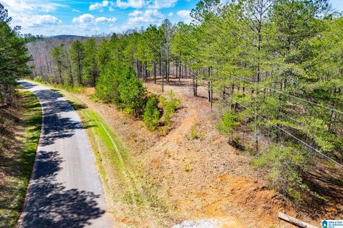 00-23 ACRES County Road 7, Wedowee, AL, 36278 | Card Image