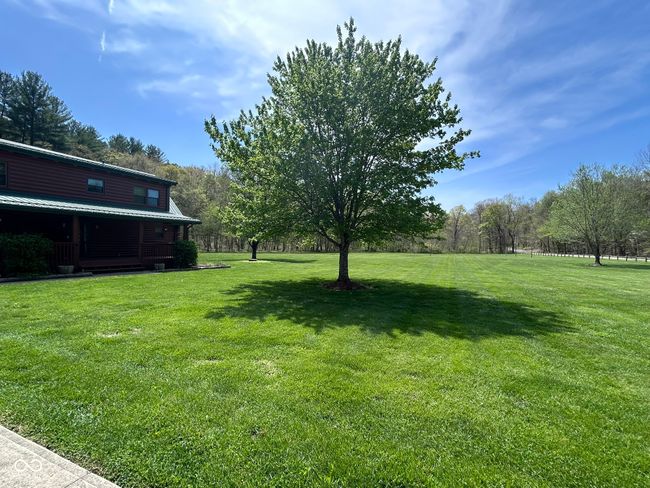 view of yard | Image 6